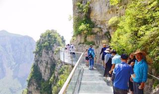 遥知兄弟登高处下句 遥知兄弟登高处下句