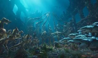 奥斯卡国际影城影讯 奥斯卡国际影城影讯