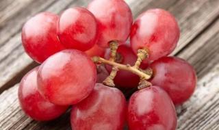 日本最贵的天价葡萄,一串可以买到多少钱 罗马葡萄多少钱一斤