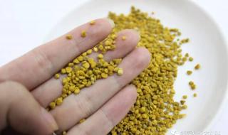 孕妇装专卖 孕妇装专卖