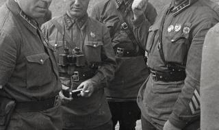 误入狼群的小绵羊 误入狼群的小绵羊