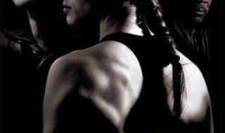 惊天危机和白宫陷落