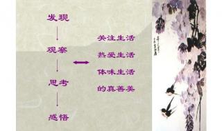 紫藤萝瀑布课文笔记 紫藤萝瀑布课文笔记