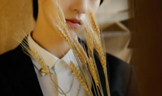 时代少年团演唱会广州是什么时候 时代少年团演唱会