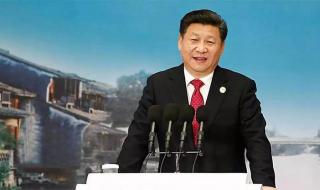 一网情深演员表 一网情深演员表