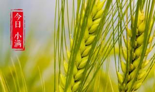 终归小满胜万全 终归小满胜万全