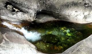 天龙八部影视城可以带宠物 大理天龙八部影视城