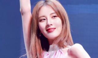 重逢的世界 重逢的世界