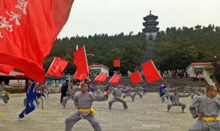 郑州少林塔沟教育集团介绍 郑州国际少林武术节