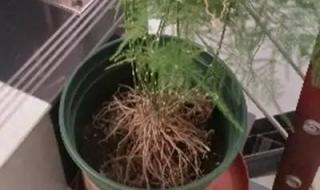 我等不到你 我等不到你