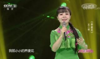 二妮最火的十首歌 王二妮歌曲