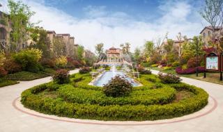 新郑北大附中的情况 新郑北大附中