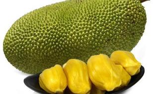 三亚特产有哪些 三亚特产有哪些