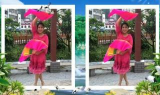 向阳花广场舞 向阳花广场舞