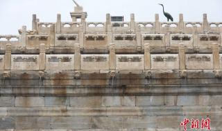 故宫九龙吐水景观再现