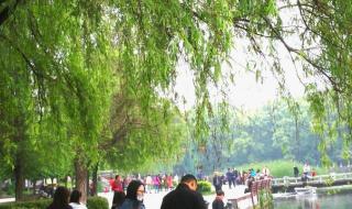 株洲物流什么时候恢复 株洲什么时候解封