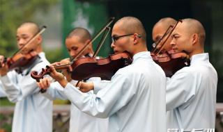 波兰荷兰芬兰都是哪里 波兰总理声援芬兰总理
