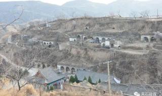 五谷丰登喜羊羊是什么意思 五谷丰登打一数字