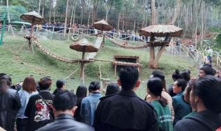 森林康养运营模式 森林生态旅游与康养