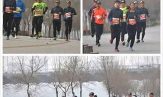 贵人鸟换标志了吗 快手贵人鸟鸟哥是谁