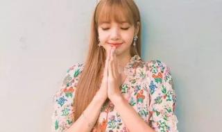 lisa上了ins富豪榜 lisa上了ins富豪榜