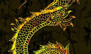 中华神龙特征 中华神龙正版价格