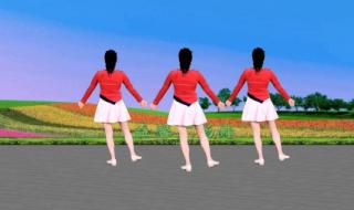 中老年广场舞大全 中老年广场舞大全