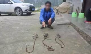 马羊羔羊仔生长特点 羊了个羊有什么规律