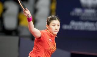 什么乒乓球最好前十名