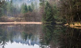 苏格兰属于哪个国家 苏格兰是一个国家吗