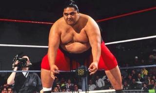 wwe现存的摔跤手 wwe名人堂成员名单