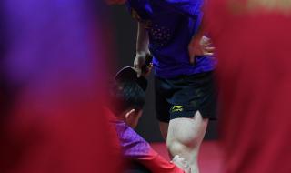 2022世乒赛男单冠军是谁 布达佩斯世乒赛2022比赛时间